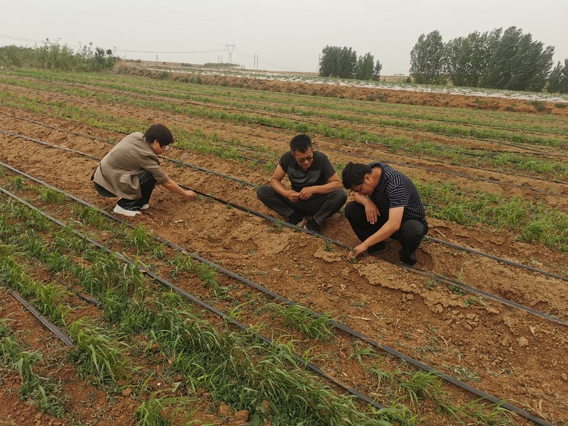 微信图片_20240515102033.jpg 微信图片_20240515102033.jpg