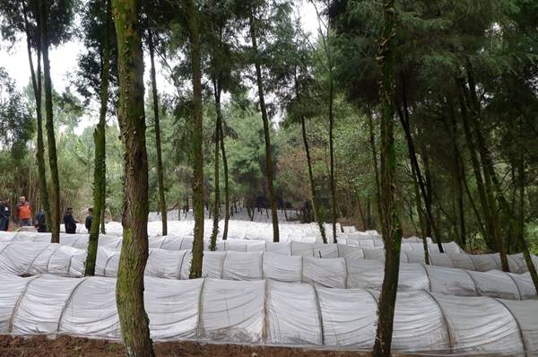 image011.jpg image011.jpg