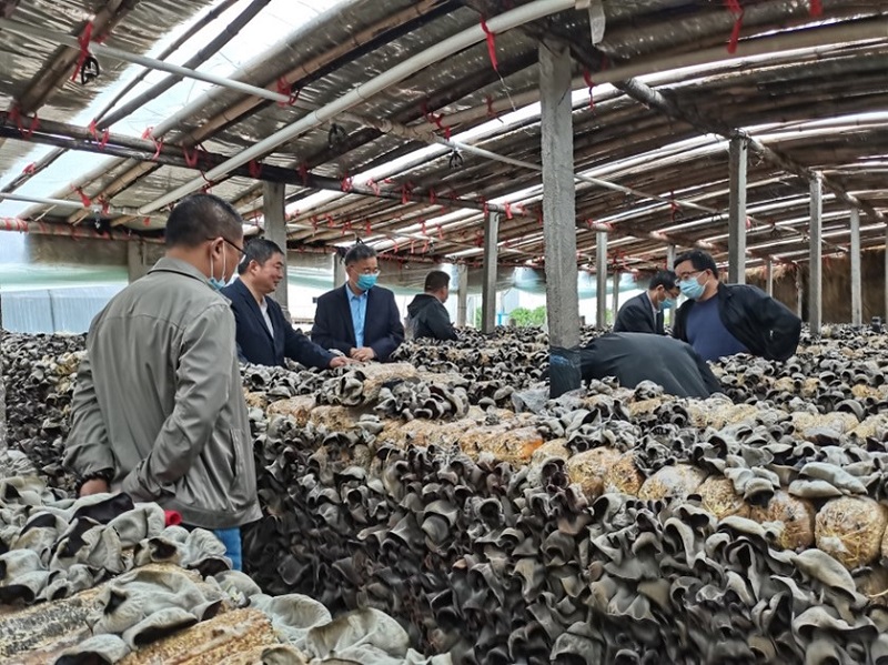 图片2.jpg 图片2.jpg