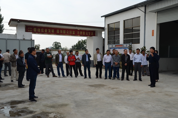 DSC_0650.jpg DSC_0650.jpg