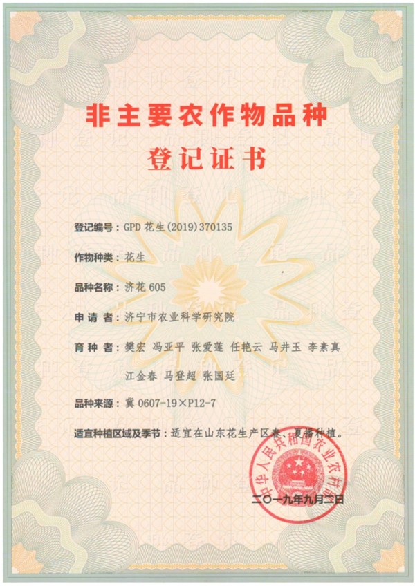 农产品研究所7个新花生品种完成登记程序6117.jpg
