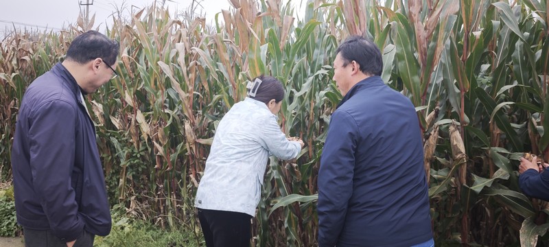 微信图片_20251013153432_32_72.jpg 微信图片_20251013153432_32_72.jpg