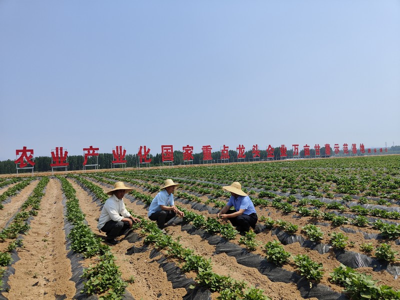 微信图片_20240522163150.jpg 微信图片_20240522163150.jpg