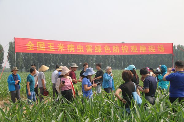 IMG_1901.JPG IMG_1901.JPG