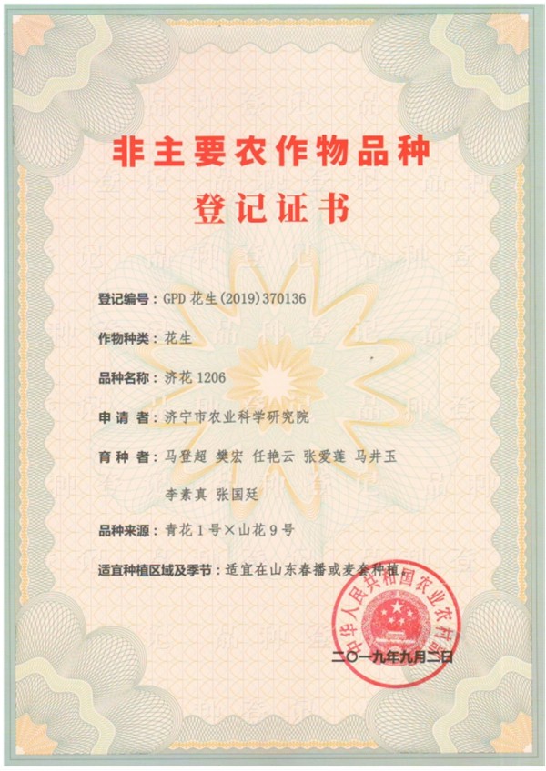 农产品研究所7个新花生品种完成登记程序6121.jpg