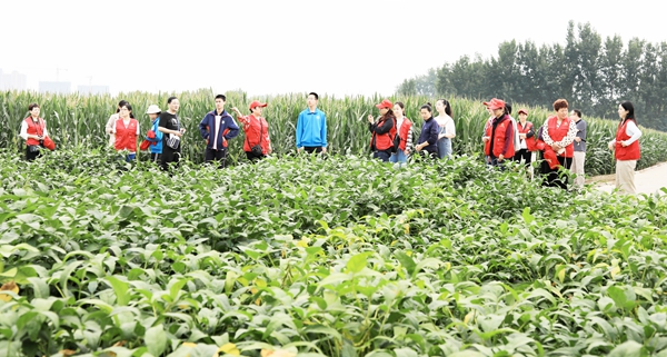 7C3A3817.JPG 7C3A3817.JPG