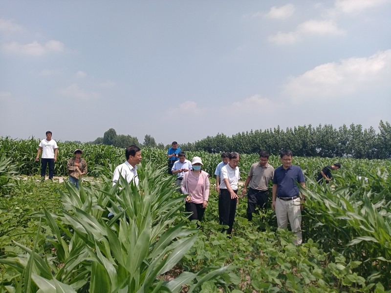 微信图片_20220727093659.jpg 微信图片_20220727093659.jpg