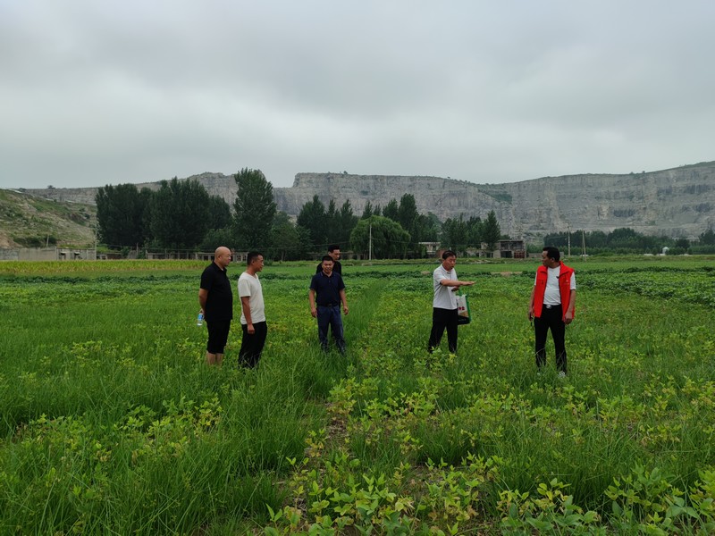 微信图片_20220812164737.jpg 微信图片_20220812164737.jpg