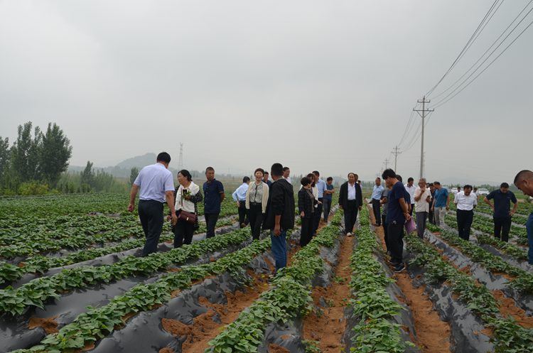 微信图片_20210603224339.jpg 微信图片_20210603224339.jpg