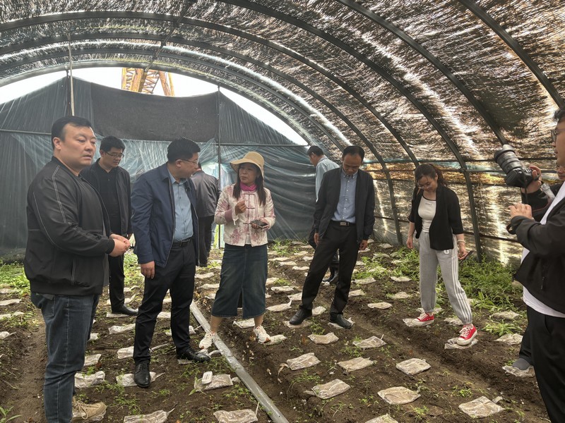 微信图片_20240430201126.jpg 微信图片_20240430201126.jpg