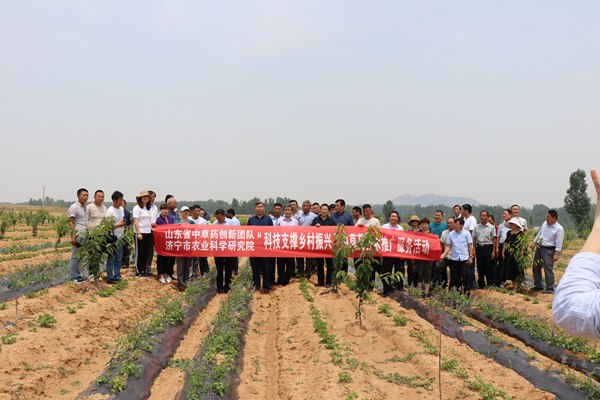 IMG_0206.JPG IMG_0206.JPG