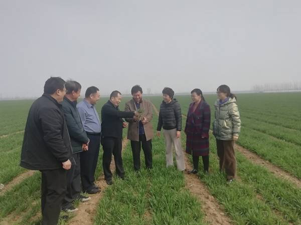 图片3.jpg 图片3.jpg