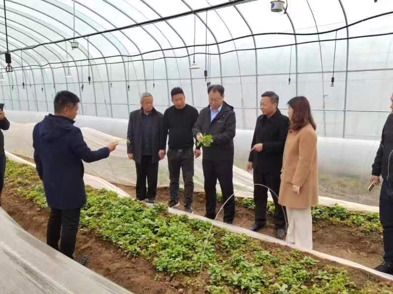 微信图片_20230321093351.jpg 微信图片_20230321093351.jpg