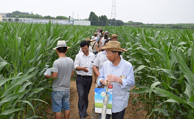 5_副本.jpg 5_副本.jpg