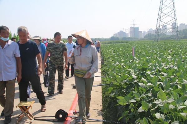 IMG_4699.JPG IMG_4699.JPG