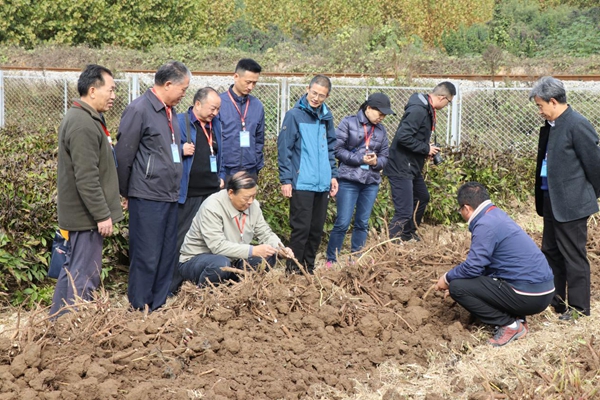 image003.jpg image003.jpg