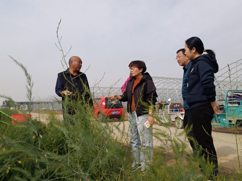 微信图片_20241029174903.jpg 微信图片_20241029174903.jpg