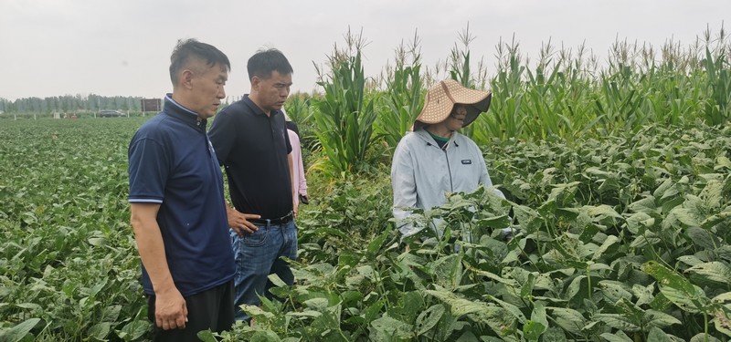 微信图片_2025-09-01_185638_868.jpg 微信图片_2025-09-01_185638_868.jpg