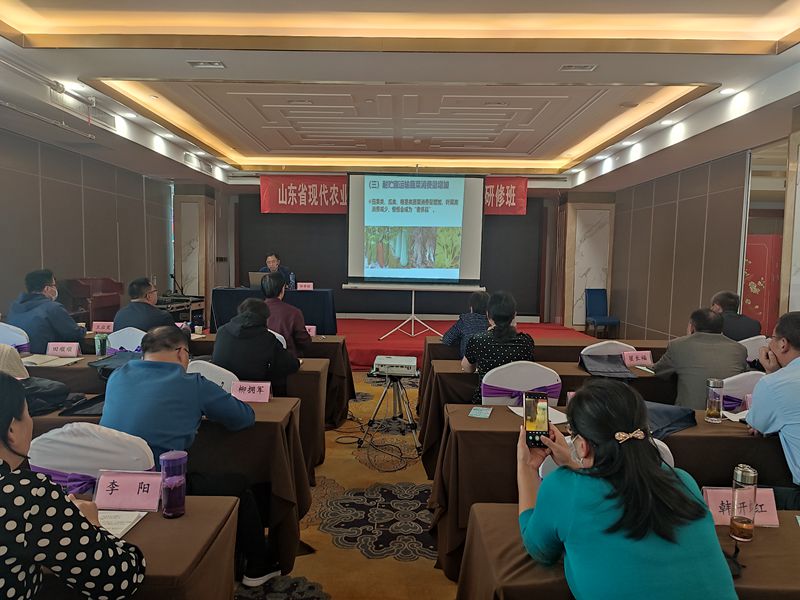 1081804714.jpg 1081804714.jpg