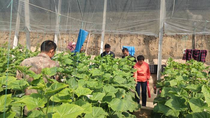 微信图片_20210519174726.jpg 微信图片_20210519174726.jpg