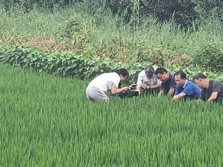 webwxgetmsgimg (2).jpg