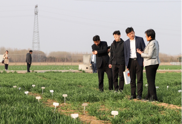 3.11 3月10日座谈会632.jpg