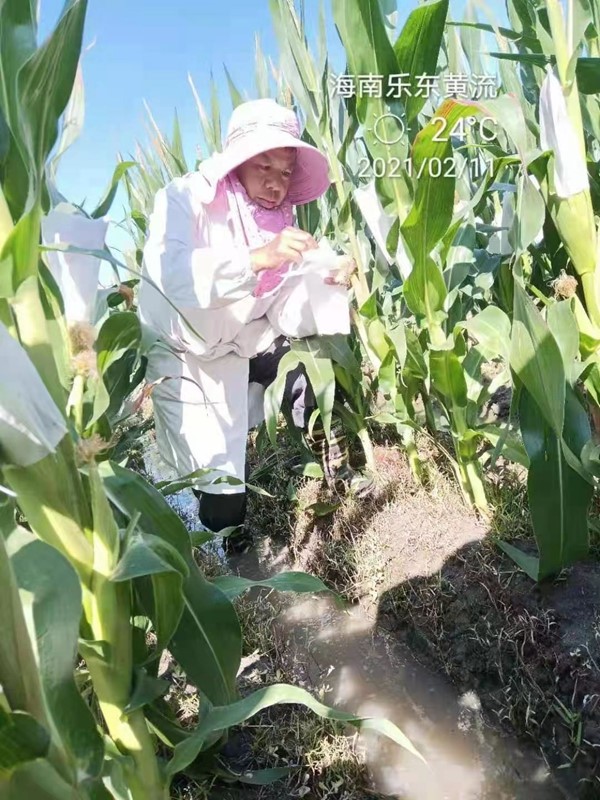 微信图片_20210211180257.jpg 微信图片_20210211180257.jpg