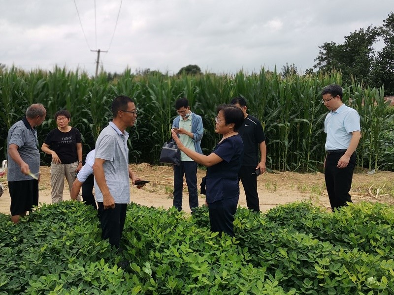 微信图片_202107301115581 (1).jpg