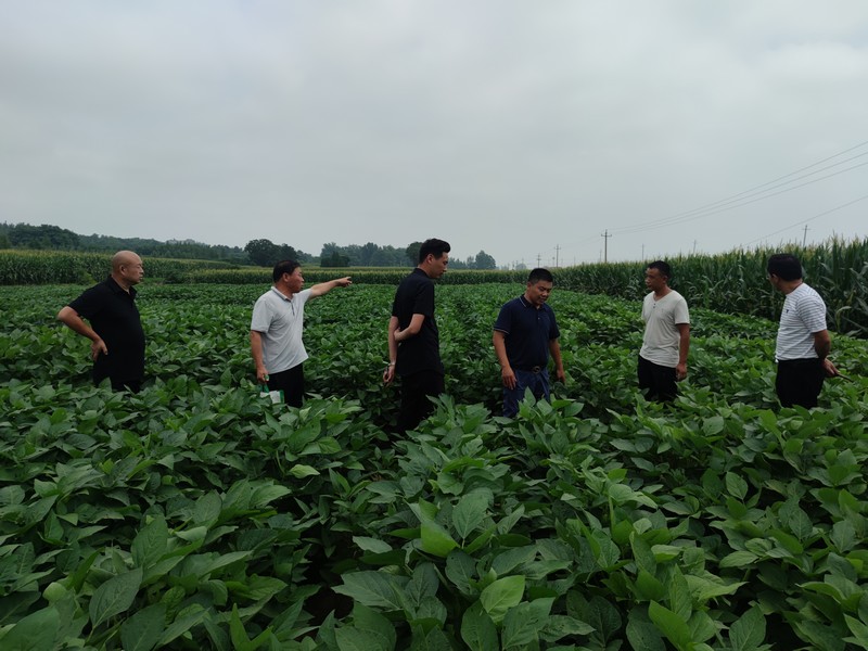 微信图片_20220812164729.jpg 微信图片_20220812164729.jpg