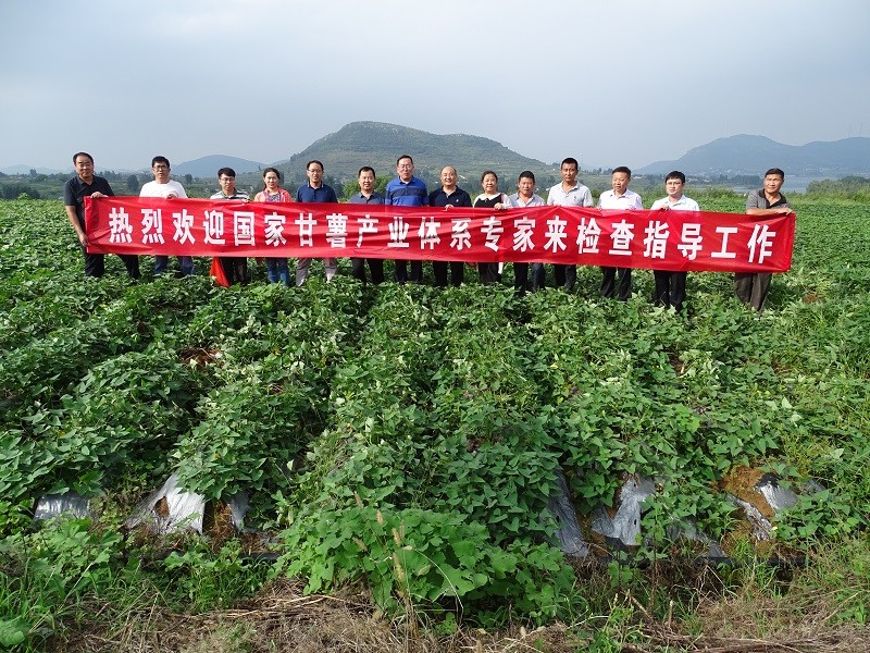 DSC03956.JPG DSC03956.JPG