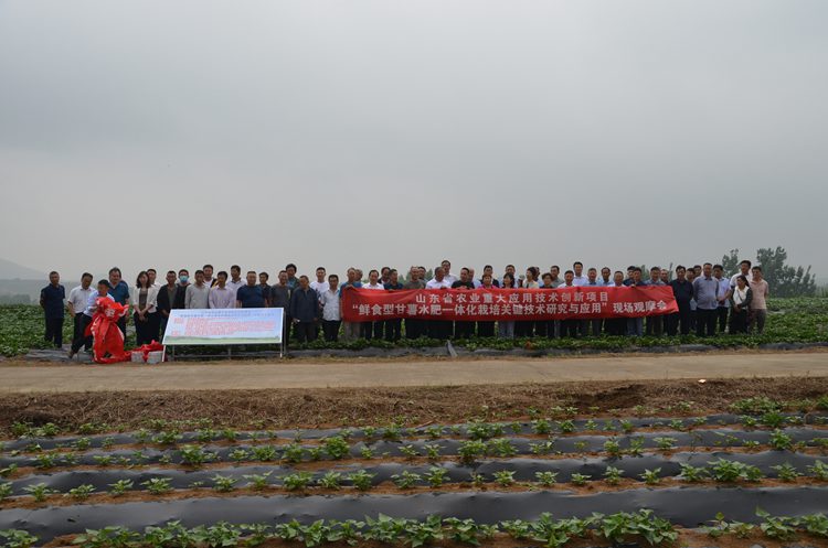 微信图片_20210603224328.jpg 微信图片_20210603224328.jpg