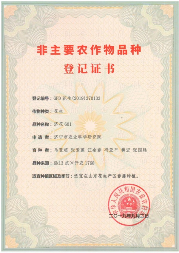 农产品研究所7个新花生品种完成登记程序6125.jpg