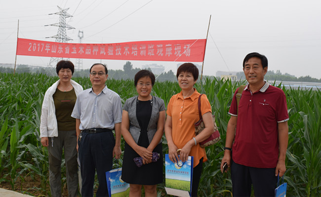 4_副本.jpg 4_副本.jpg