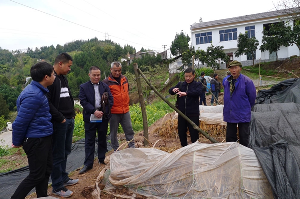 image003.jpg image003.jpg