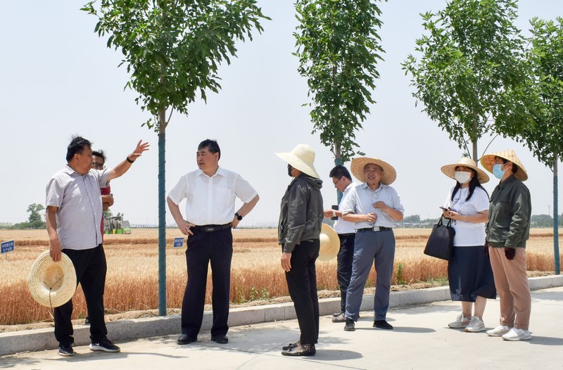 微信图片_20220609172522.jpg 微信图片_20220609172522.jpg