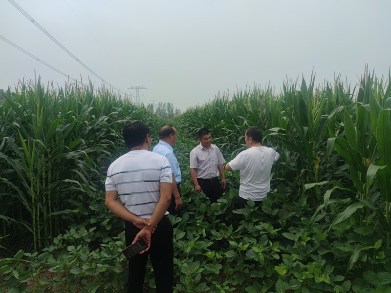 微信图片_20220812164733.jpg 微信图片_20220812164733.jpg