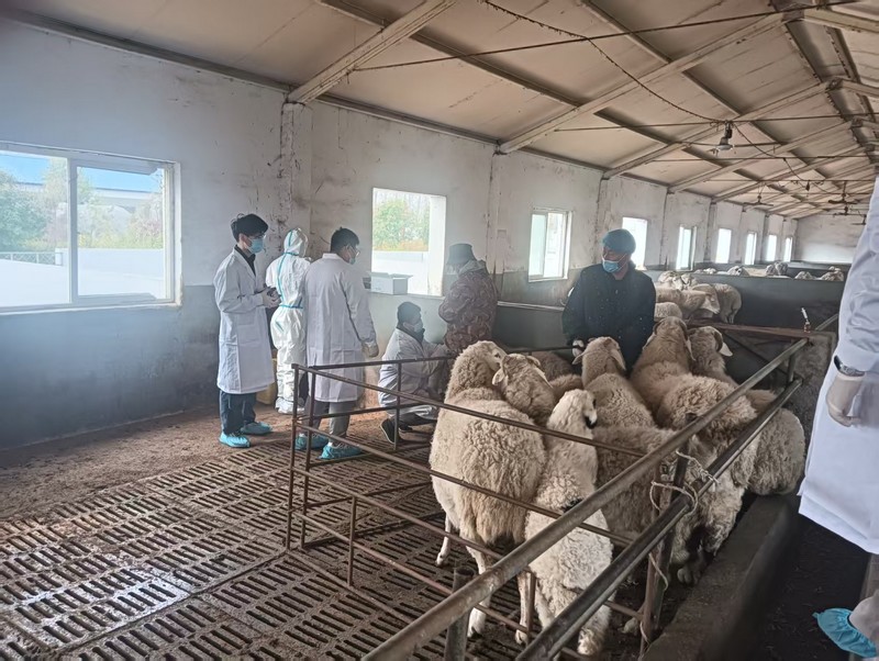 微信图片_20250314150621.jpg 微信图片_20250314150621.jpg