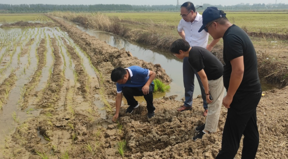 5d1a833f197c4db88a0b949cadec6631.png 5d1a833f197c4db88a0b949cadec6631.png