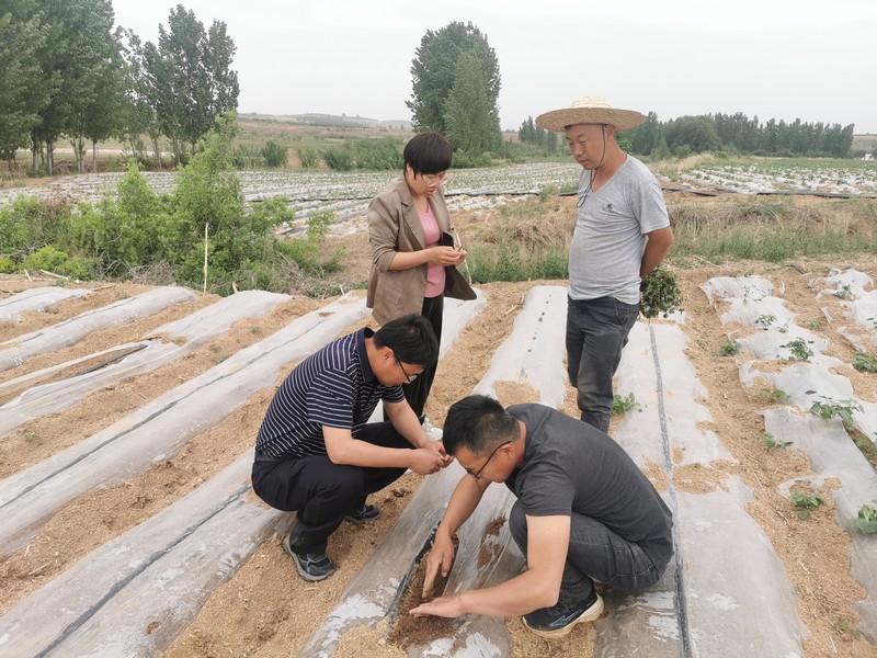 微信图片_20240515102036.jpg 微信图片_20240515102036.jpg